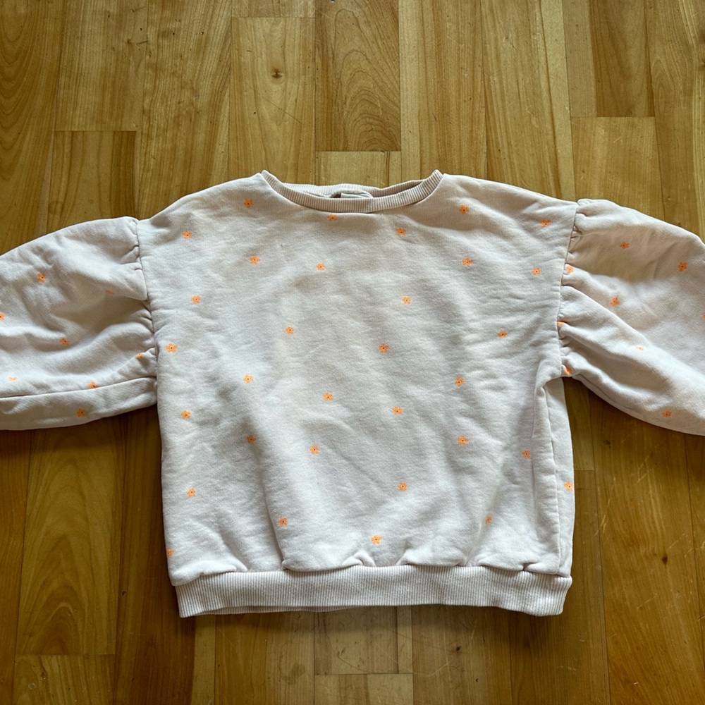 Toddler girls Zara sweatshirt: size 4-5
